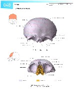 Sobotta Atlas of Human Anatomy  Head,Neck,Upper Limb Volume1 2006, page 55